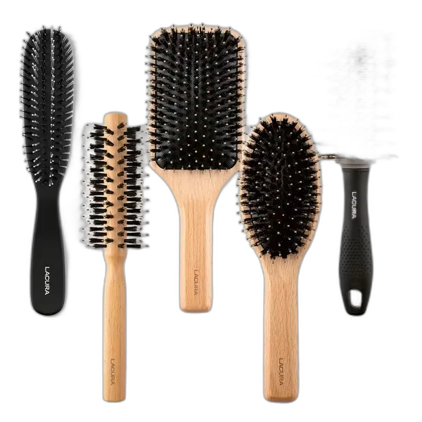 Image du produit LACURA Accessoires pour cheveux, premium