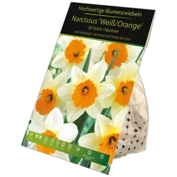 Image du produit GARDENLINE Bulbes à fleurs d’automne