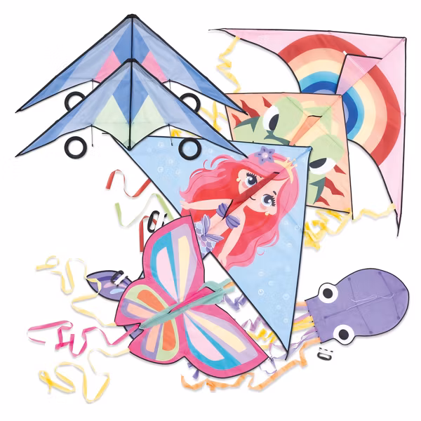 Image du produit CRANE Cerfs-volants