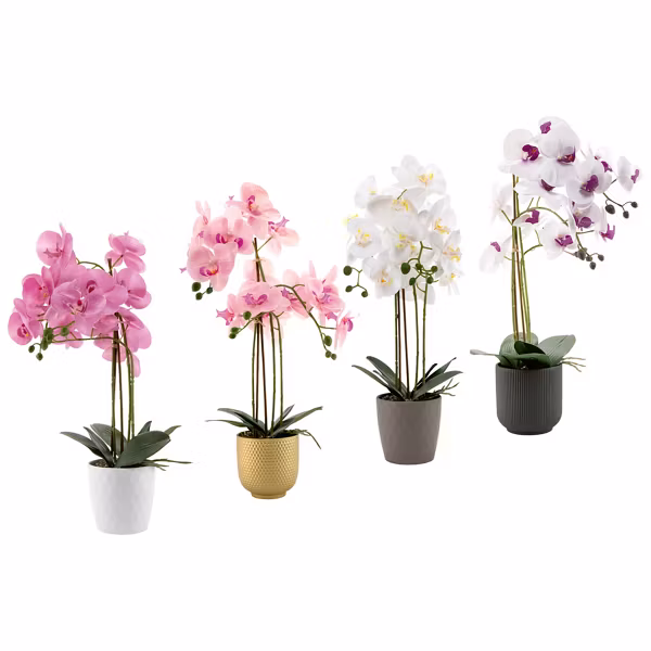 Produktbild zu HOME CREATION Naturgetreue Orchidee