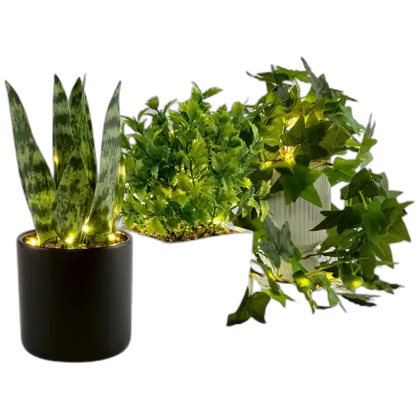 Image du produit HOME CREATION Plantes à LED
