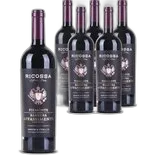 Produktbild zu Piemonte DOC Barbera Appassimento Ricossa 6x 75cl