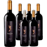 Produktbild zu Lazio IGP Merlot Ômina Romana 6x 75cl
