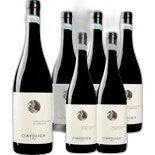 Produktbild zu Montepulciano d'Abruzzo DOP Ciavolich 6x 75cl
