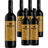 Produktbild zu Navarra DO Fortius - Reserva Bodegas Valcarlos 6x 75cl