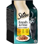 Immagine del prodotto Alimento umido en gelée Fresh&Fine Sheba selezione al pollame 6x50g