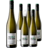 Produktbild zu Pfalz Müller Thurgau Emil Bauer & Söhne 6x 75cl