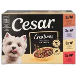 Immagine del prodotto Selezione di cibo umido in salsa Adult Cesar 12x100g