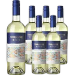 Immagine del prodotto Casablanca Valley Sauvignon Blanc Civis Viñedos Terra Noble 6x 75cl
