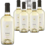 Immagine del prodotto Terre Siciliane IGT Grillo Lumá Cantine Cellaro 6x 75cl