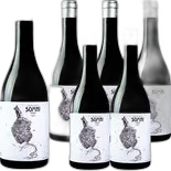 Produktbild zu Priorat DOQ Somni Clos del Portal 6x 75cl