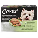 Immagine del prodotto Cesar Garden Terrine Multipack 8x150g