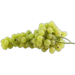 Immagine del prodotto Uva Italia bio Naturaplan Demeter