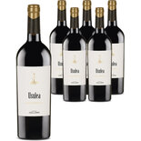 Immagine del prodotto Sicilia Nero d’Avola Cantine Cellaro 6x 75cl