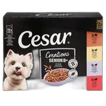 Immagine del prodotto Cesar Senior Dog Food Pouches Multipack 12x100g