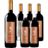 Produktbild zu Lazio IGT Janus Geminus I Ômina Romana 6x 75cl