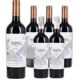 Produktbild zu Malbec Uco Valley Punta de Flechas Flechas de los Andes 6x 75cl