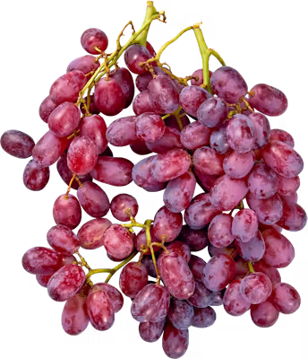 Immagine del prodotto Uva scura