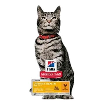 Immagine del prodotto Hill's Science Plan aliment sec pour chat, adulte, santé urinaire, au poulet 3 kg