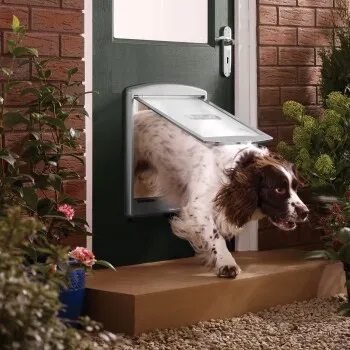 Image du produit PetSafe Chatière pour chien 777, fonction 2 voies grise