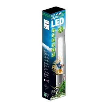 Immagine del prodotto JBL LED Solar Natur 20 W, 549/590 mm (Gen 2)