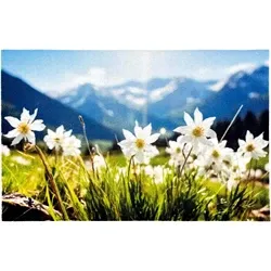 Image du produit Paillasson 40x60cm pré de montagne