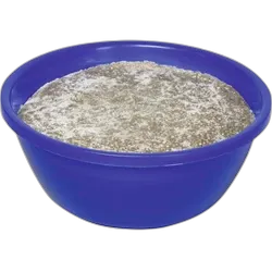 Image du produit Bac à picorer pour poules 1,8 kg