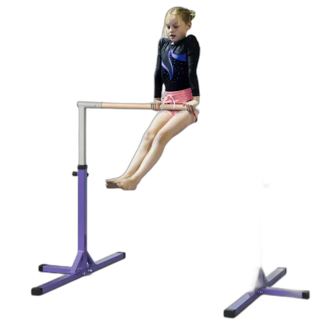 Immagine del prodotto HOMCOM Gymnastik-Turnreck
