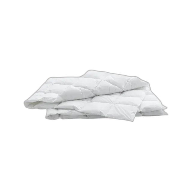Produktbild zu Swiss Dream Caro Light Basic 90 Piumino leggero per tutto l'anno