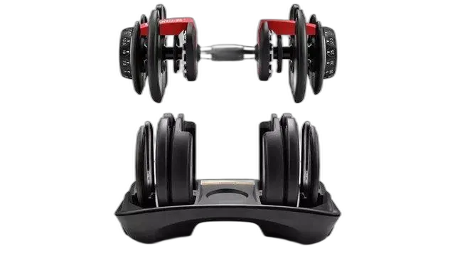Immagine del prodotto SwissGym Halt�re court r�glable 2.5 - 24kg