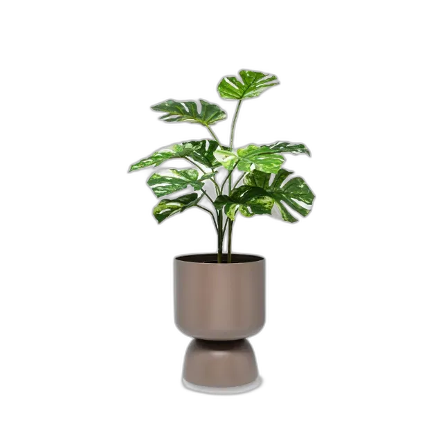 Image du produit Manor Home Pot de fleurs Herbal