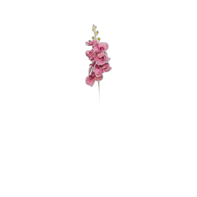 Image du produit Manor Home Fleurs artificielles Orchideenzweig