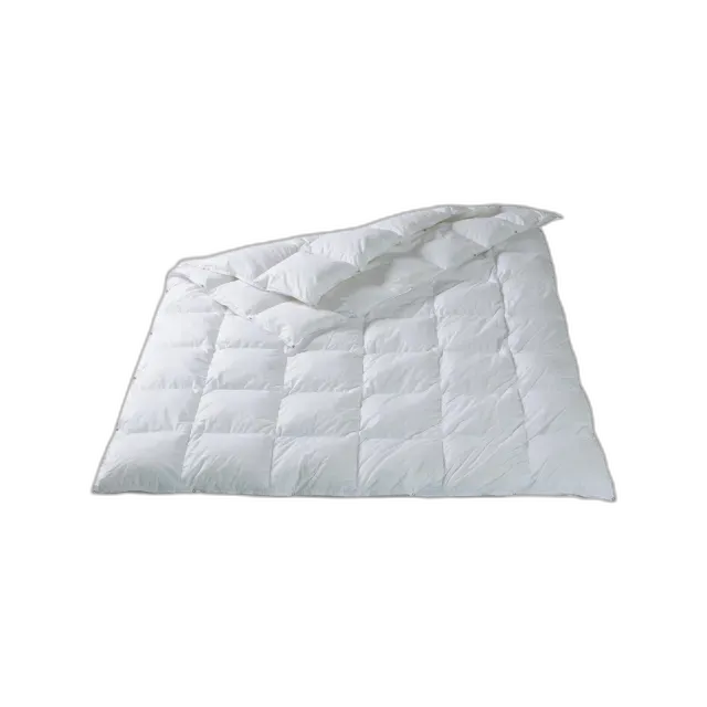 Image du produit DOR Sartons Duvet double plumes 4 saisons