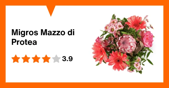Immagine del prodotto Migros Mazzo di Protea