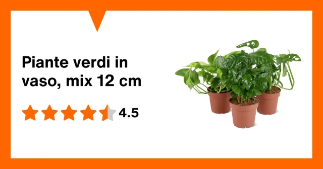 Image du produit Piante verdi in vaso, mix 12 cm