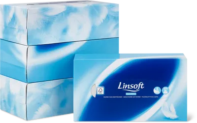 Image du produit Linsoft Fazzoletti di carta in scatola Quattro