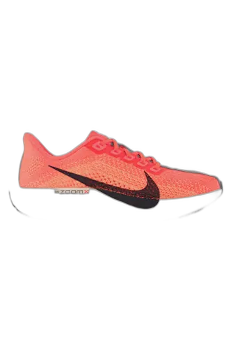 Image du produit Nike Pegasus Plus chaussures de course femmes
