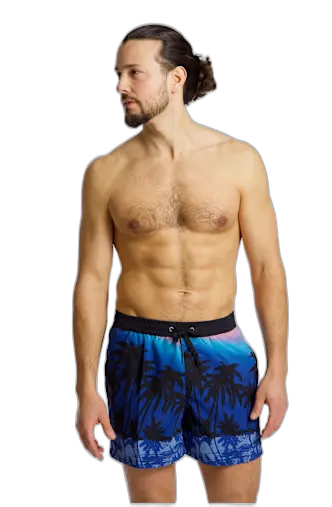 Image du produit Quiksilver Everyday Printed Volley 15" short de bain hommes