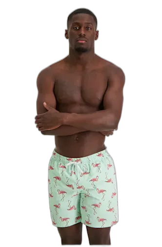 Image du produit BEACH MOUNTAIN Diego short de bain hommes