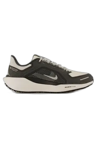 Image du produit Nike Pegasus 41 Gore-Tex® chaussures de course hommes