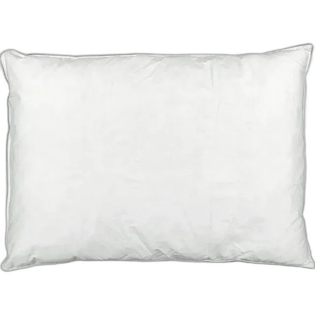 Image du produit Oreiller 100 % plumes de canard